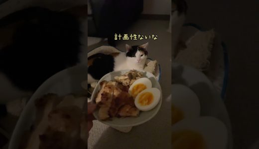 【飯テロ】鶏むねソテー