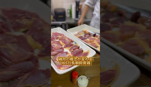 【365日飼育の希少鶏】鶏肉の概念が変わる鳥料理鳥勝 Torisho in Akebonobashi
