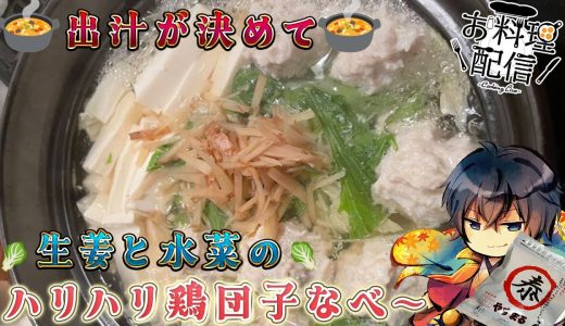【#料理】出汁が決めて生姜と水菜のハリハリ鶏団子鍋つくります！！(*'▽')【#vtuber  酒ノ井小太郎】