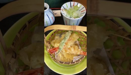 【滝太郎】ランチに天麩羅麦切り、そば大盛りをいただきましたよ #shorts #天麩羅 #そば #麦切り #滝太郎 #山形県鶴岡市