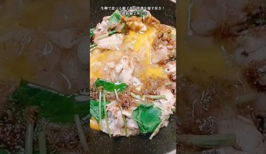 【お得なアレンジレシピ】⑦生卵で食べる親子丼が常識を覆す旨さに！『鉄板親子丼』