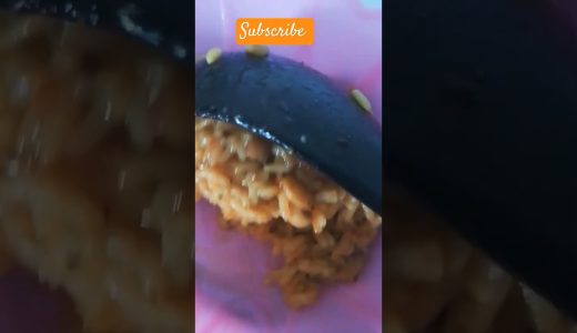 let make food for the pets