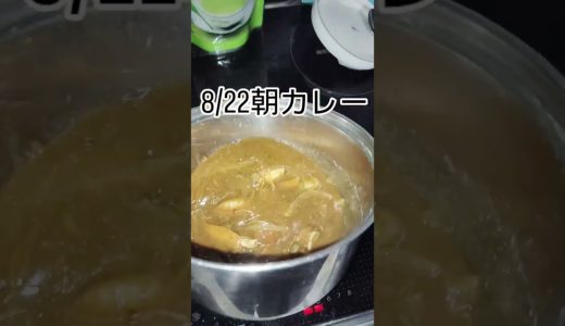 8月22日#朝カレー #豚肉 #鶏むね肉 #トマト #ブロッコリー #ニンニク#カレー #カレー好き #カレー #料理 #cooking #カレースタグラム #自炊 #カレーライス #簡単レシピ#朝活
