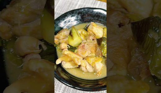 【夏バテ知らずの、絶品おかず】鶏もも肉となすの煮物#だし活 #和風だし #出汁パック #簡単レシピ #cooking #おうちごはん #japan #japanese #japanesefood