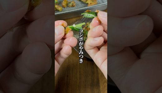 下のソーシャルリンクからフォロー