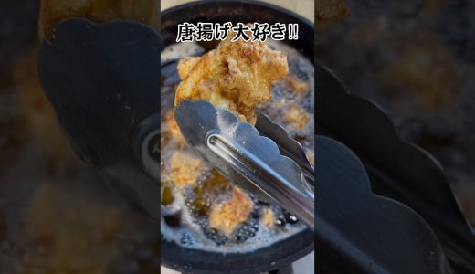 唐揚げ大好き‼︎揚げてこ‼︎ごはんが美味いっ‼︎ #ベイビーやしのき大冒険 #からあげ