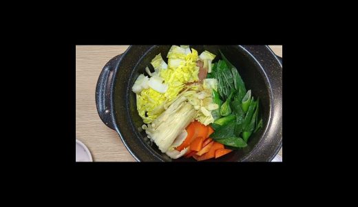 青ネギで鶏塩鍋を作りました #ショート 2025 12 18 #料理 #簡単レシピ #自炊 ＃cooking ＃food #おうちごはん