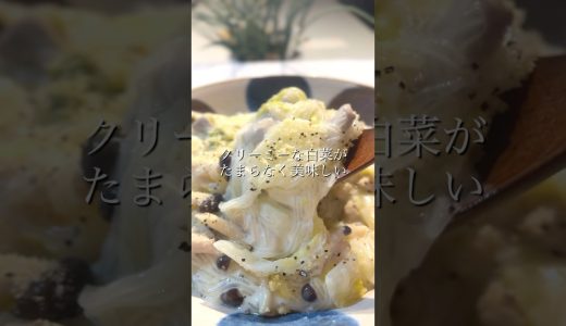 【とろとろ】白菜と鶏肉のチーズミルク煮。クリーミーな白菜が、たまらなく美味しいんです。 #料理 #時短節約 #今日の晩ごはん #簡単レシピ #料理動画 #おうちごはん