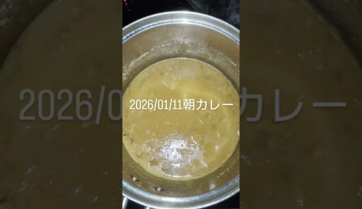 01/11#実況ロージー#朝カレー #豚肉 #鶏むね肉 #トマト #ブロッコリー #ニンニク#カレー #カレー好き #カレー #料理 #カレースタグラム #自炊 #カレーライス #簡単レシピ#朝活