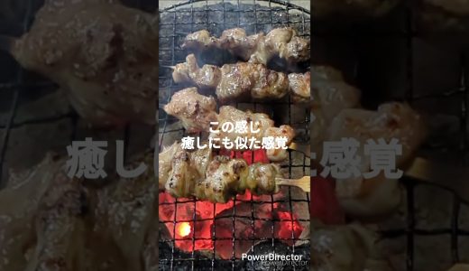 まぁ～ちゃんファームグルメ事業部(焼き鳥編)　#焼き鳥 　#炭焼き 　#鶏肉