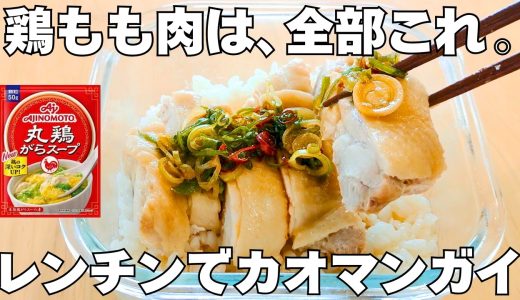 鶏もも肉と生米をタッパーにいれてレンジで温めるだけ！【タッパーだけでカオマンガイ】簡単すぎて旨すぎる！リピート確定♪