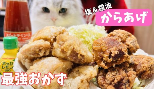【感動】みんな大好き！塩＆醤油の最強唐揚げ【料理ルーティン】