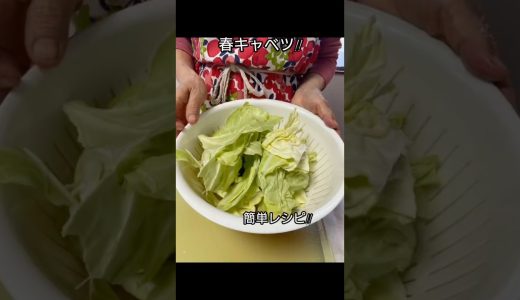 切って重ねて蒸すだけ、春のワンパンレシピ　#春キャベツ #鶏もも肉 #ワンパンレシピ #簡単レシピ