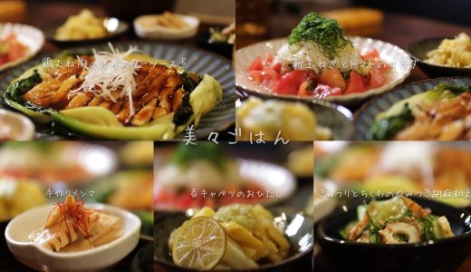 【50代主婦】鶏むね肉のオイスターソース煮/料理/晩ごはん/簡単レシピ