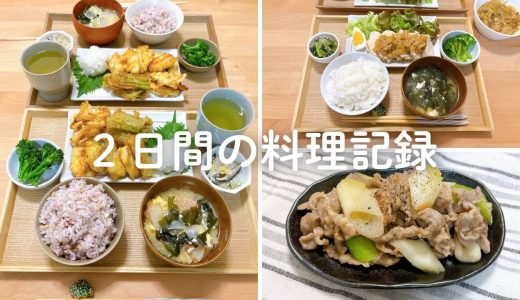 2日間の料理記録🌱鶏むね肉を使ったレシピ👩‍🍳
