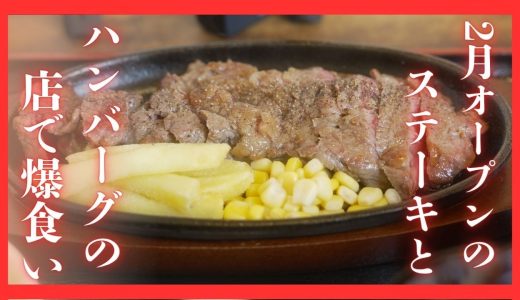 ＃533 栃木県小山市　二月オープンのステーキとハンバーグの店で爆食い　ラッキーシェフ亭