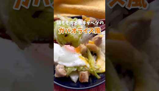 春キャベツと鶏もも肉で♪ガパオライス風