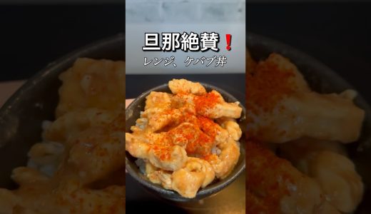 レンジでケバブ🥙最強すぎた。#料理 #料理動画 #簡単レシピ #時短レシピ #おうちごはん #自炊 #毎日ごはん #作り置き #晩ごはん #おかず #料理初心者#肉