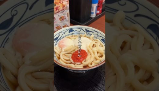 丸亀製麺大盛り無料‼️ 三日間限定激安だから絶対行って‼️ #グルメ #関西グルメ #大阪グルメ #グルメ好き #神戸グルメ#神戸ランチ　#丸亀製麺　#丸亀