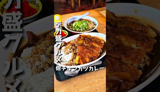 大盛りが倍量!?【えびす食堂】#群馬グルメ #japanesefood