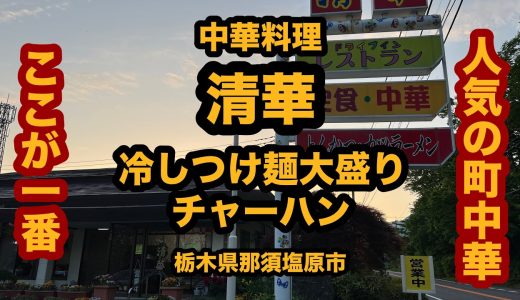 【栃木グルメ】中華料理 清華（那須塩原市）冷しつけ麺大盛り＆チャーハン
