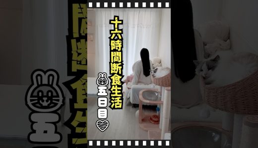 宵闇の鶏むね肉ときのこのにんにく炒め -ダイエット41日目-～ゲーム実況者と猫の生活～