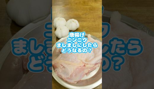 唐揚げ、ニンニクマシマシしたらどうなるの？　#からあげ  #ずんだもん  #簡単レシピ